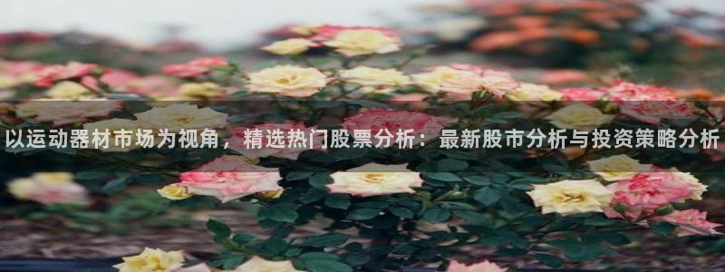 k1体育官方正版app新能源：以运动器材市场为视角，