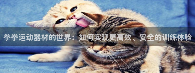 k1体育官网下载平台是正规平台吗安全吗：拳拳运动器材