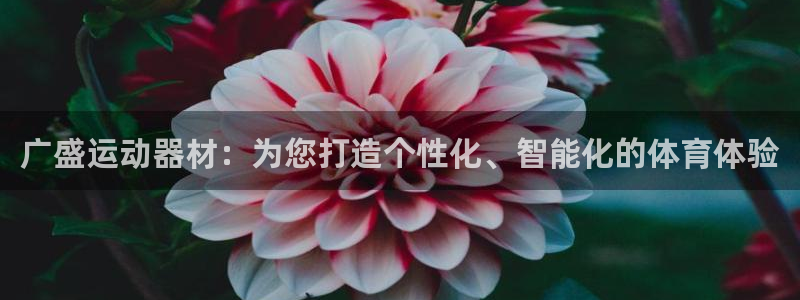 k1体育官网下载娱乐