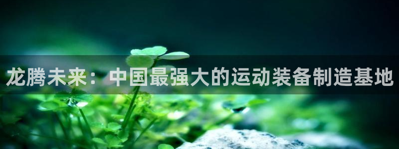 k1体育官网下载平台注册：龙腾未来：中国最强大的运动装备制造