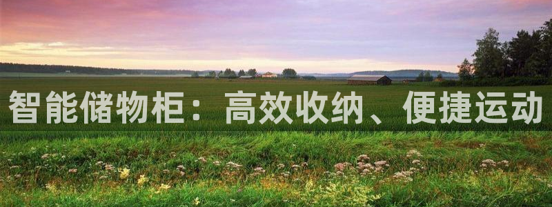 k1官方集团官网：智能储物柜：高效收纳、便捷运动