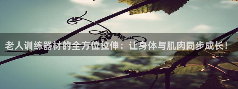 k1体育官网下载招商：老人训练器材的全方位拉伸：让身体与肌肉