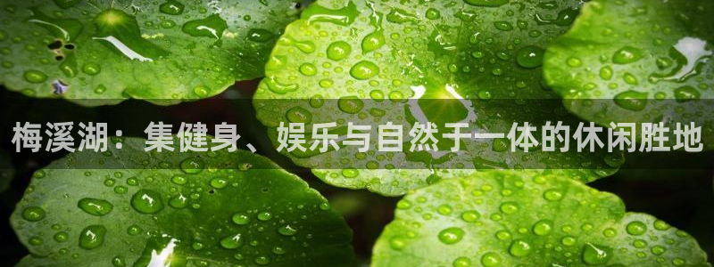 k1体育官方正版app娱乐首页官网下载：梅溪湖：集健身、娱乐