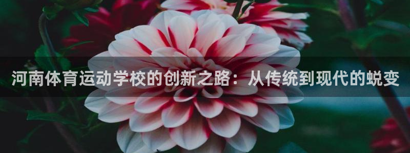 3377体育手机平台