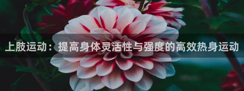 3377体育官方app下载
