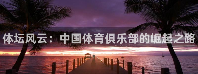 3377体育手机平台