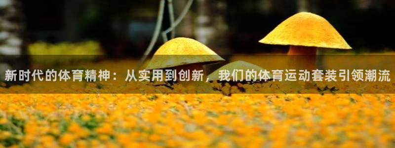 3377体育在线登录官网入口：新时代的体育精神：从实用到创新，我们的体育运动套装引领潮流