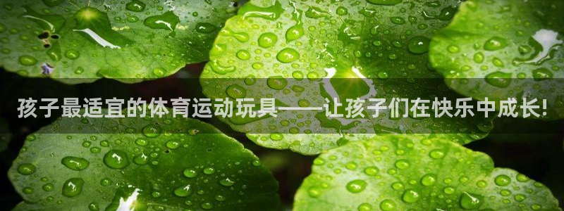 3377体育全网：孩子最适宜的体育运动玩具——让孩子们在快乐中成长!