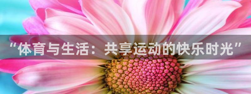 3377体育com：“体育与生活：共享运动的快乐时光”