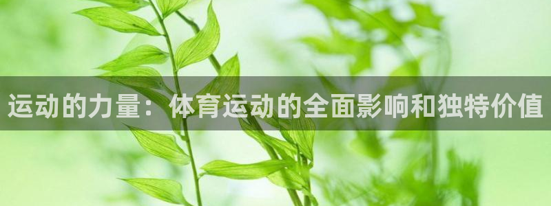 3377体育官网下载：运动的力量：体育运动的全面影响和独特价值