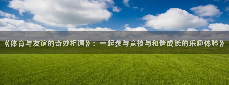 3377体育官网