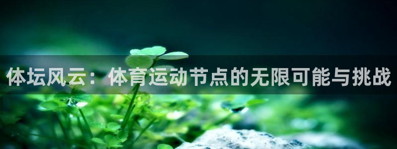 3377体育中国官方网站入口