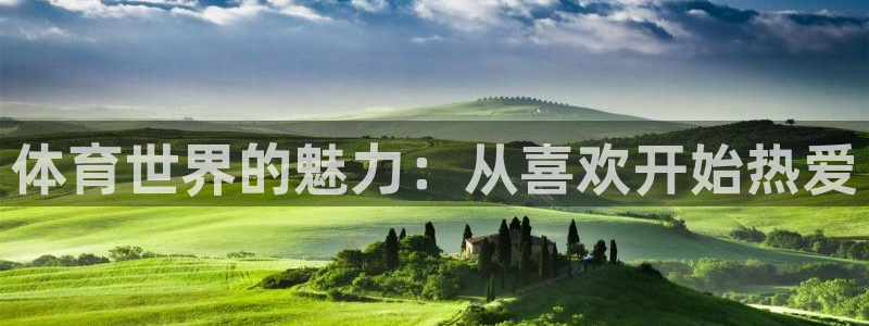 3377体育手机平台：体育世界的魅力：从喜欢开始热爱